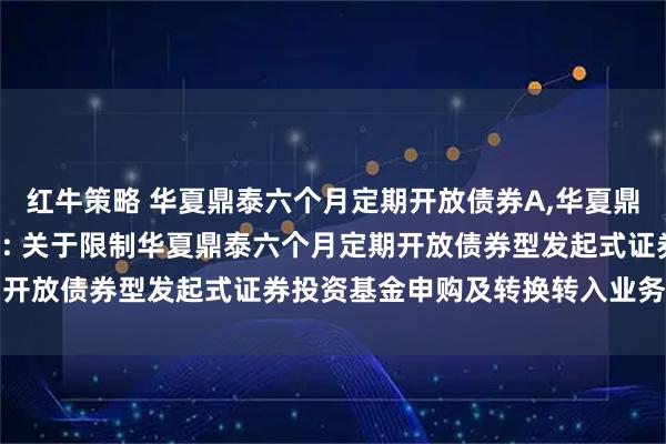 红牛策略 华夏鼎泰六个月定期开放债券A,华夏鼎泰六个月定期开放债券C: 关于限制华夏鼎泰六个月定期开放债券型发起式证券投资基金申购及转换转入业务的公告